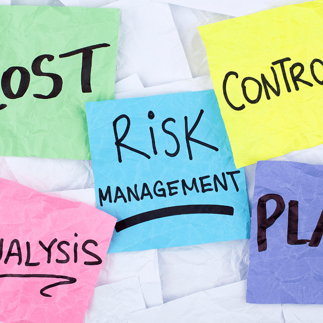 The role of accounting software in risk management