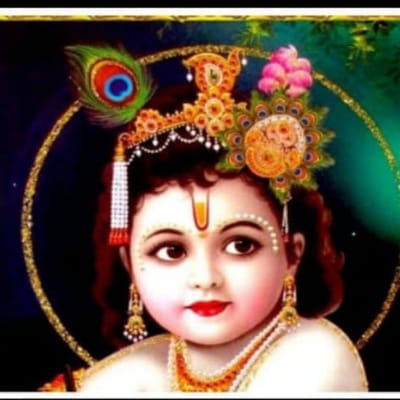 Shree Krishna Trading Company