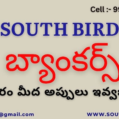 SOUTH BIRD