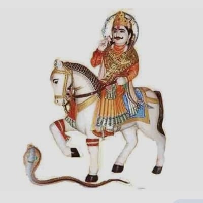 श्री देवनारायण ट्रेडर्स सामरी