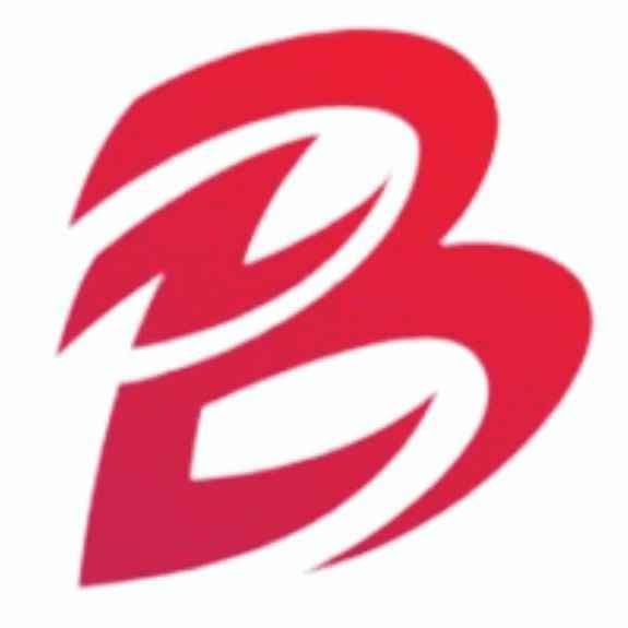 BARANWAL ENTERPRISES