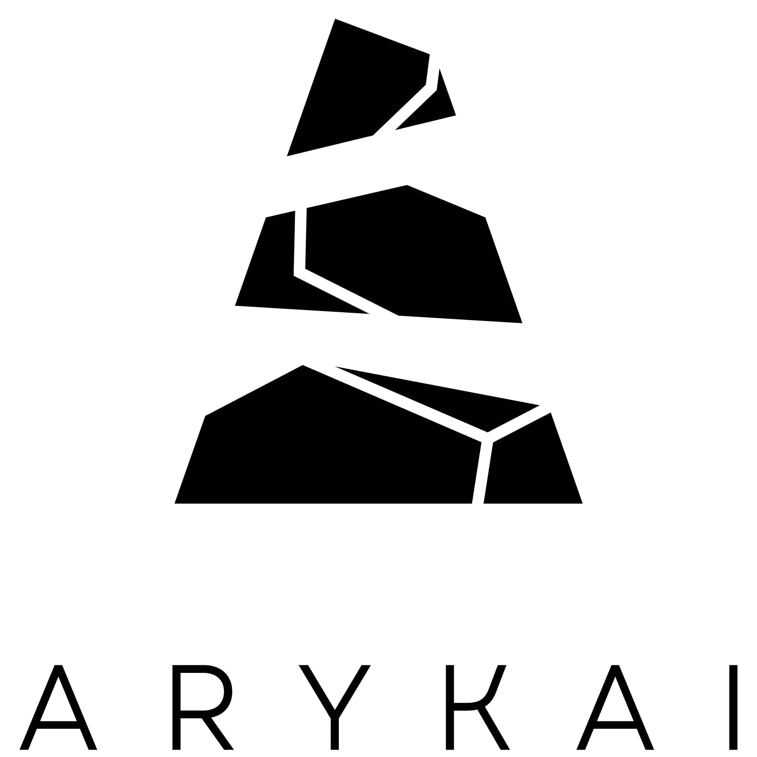 ARYKAI COLLECTIVE PVT LTD