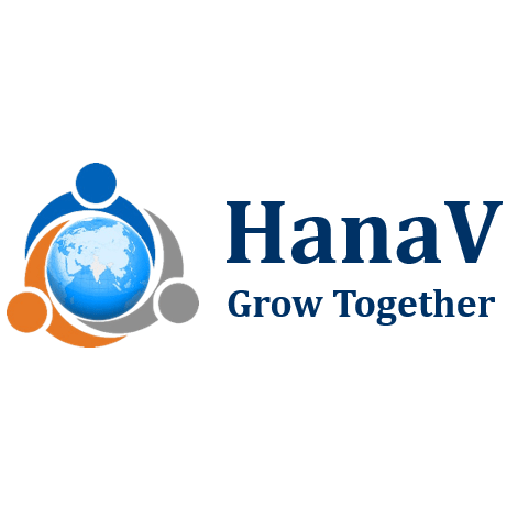 HanaV Manufacturing and Business Private Limited