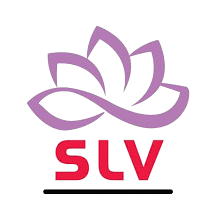 SLV TRADERS