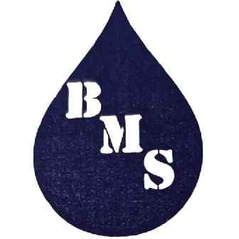 BMS DIESEL POWER SYSTEMS