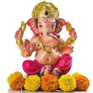 RUDRA TRADING CO.