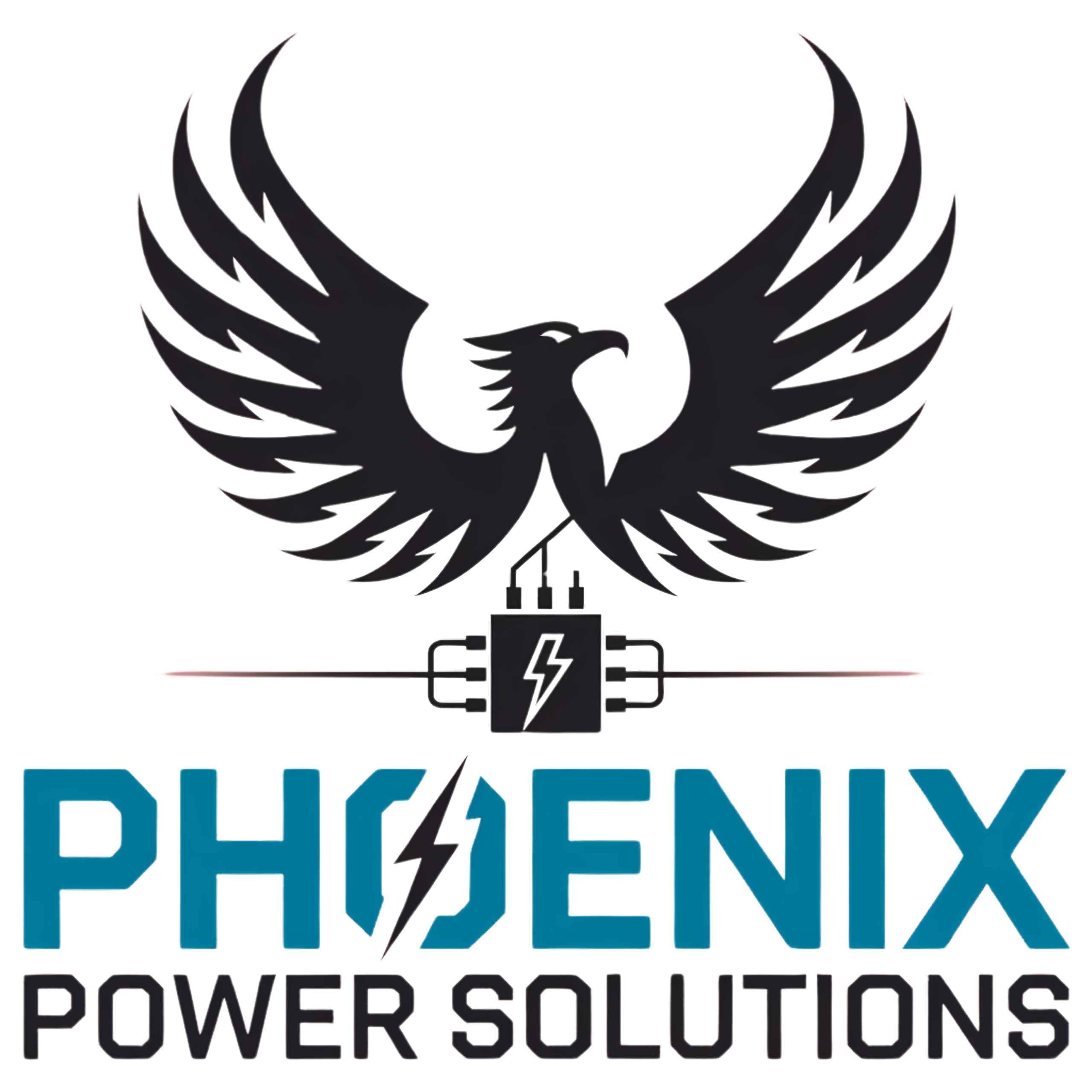 PHOENIX POWER SOLUTIONS