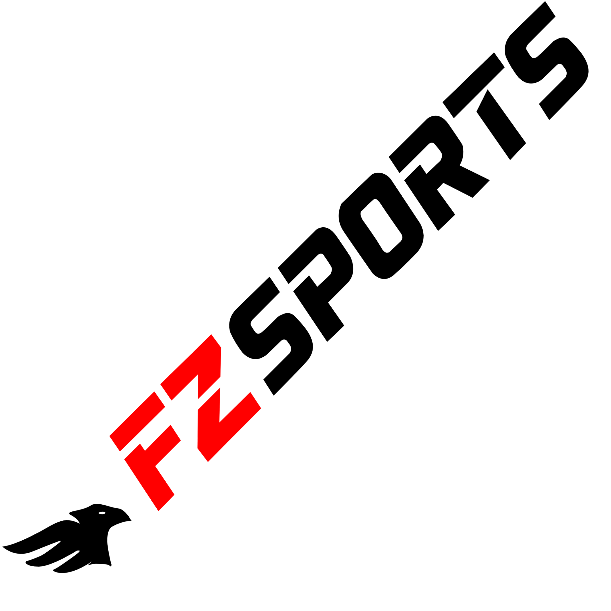 FZ SPORTS -FACTORY