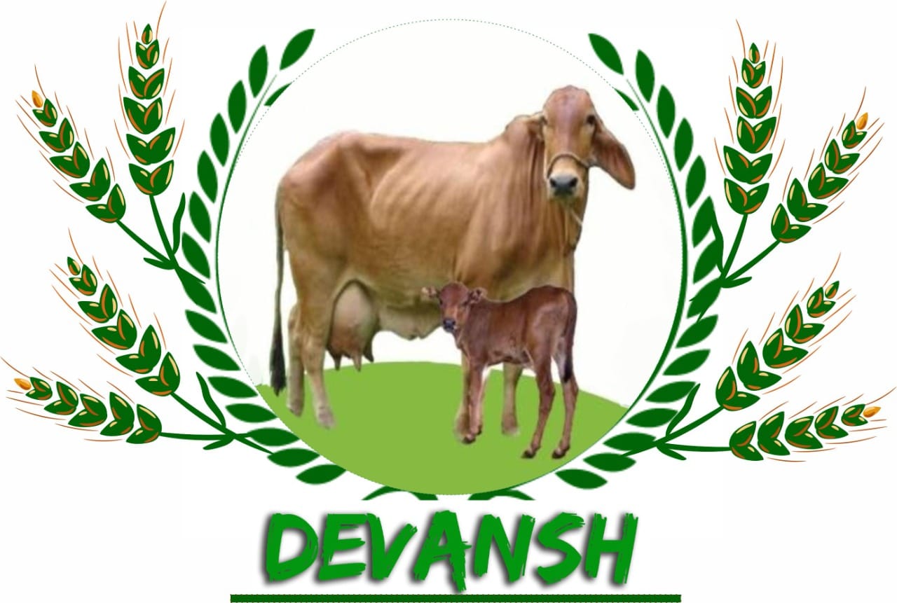 Devansh Dairy and Agri Business