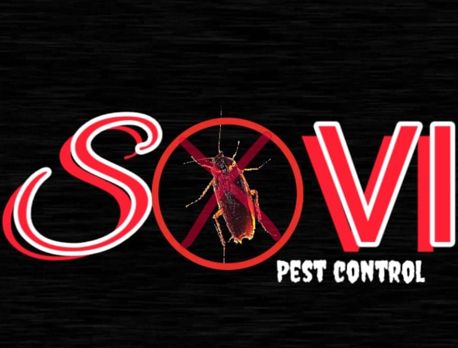 SOVI PEST CONTROL SERVICE