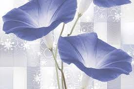 LAMBER GR FLOWER