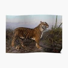 ROYAL TIGER