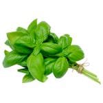 Basil 1 bunch 10 g