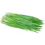 Garlic Chives 10 g