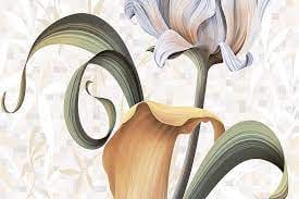 GALLANO FLOWER