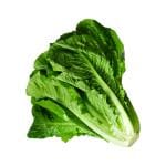 Lettuce Leafy 250 g (Approx 160 g - 300 g)