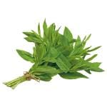 Mint Leaves per Bunch (Approx 80 g - 150 g)