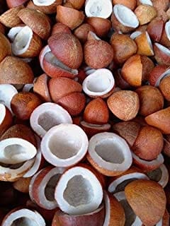 DRY COCONUT