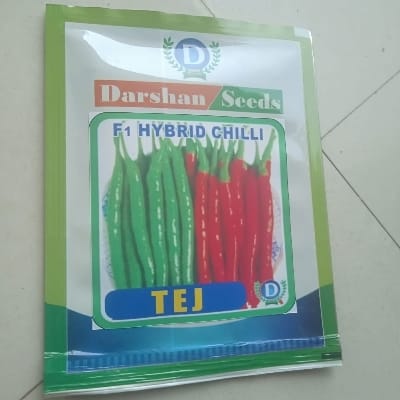 Hybrid Chilli Tej 10g 