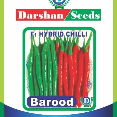 Hybrid chilli Barood 10g 