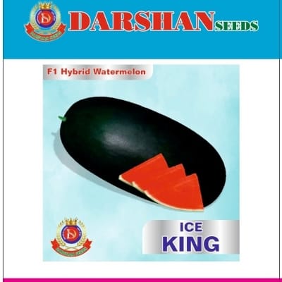 Hybrid Watermelon ICE -King 50g 