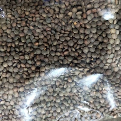 KALI MASOOR 1KG