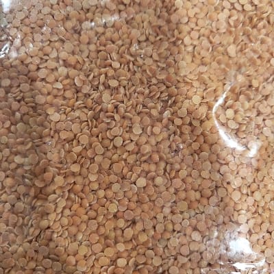 MASOOR DALI 500G