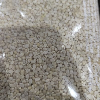 URAD DHULI 500G