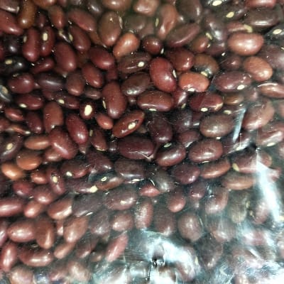 JAMMU RAJMA 500G