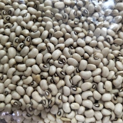 WHITE LOBHIYA 500G