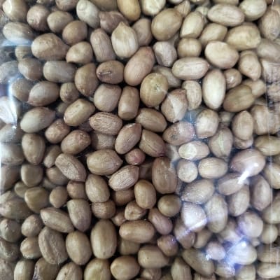 MUNGFALI DANA 500G