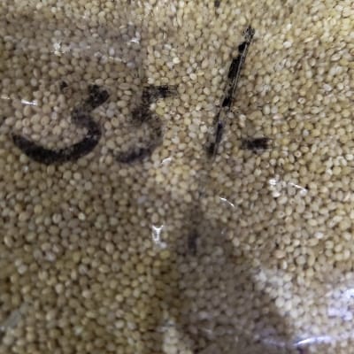 KANGANI CHAWAL 250G