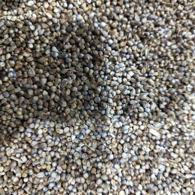 BAJRA