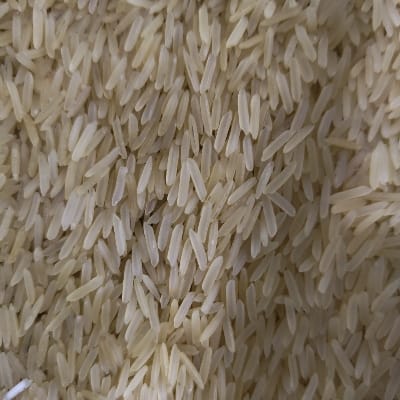 GOLDEN I RICE 110