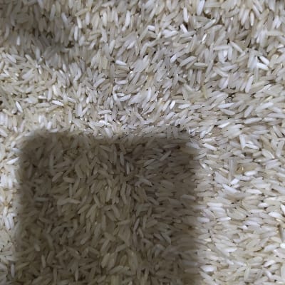 BASMATI SABUTRICE 55