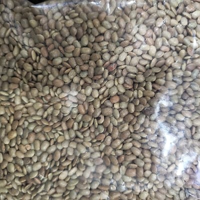 KULTHI KI DAL 500G
