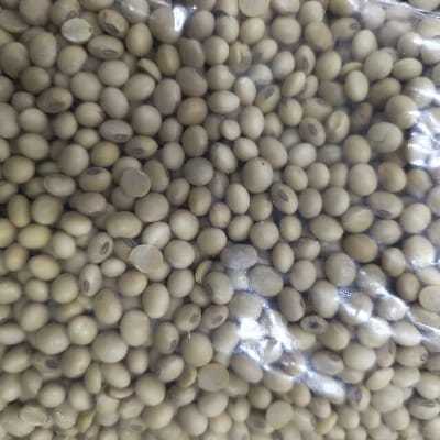 SOYA BINN DANA 500G