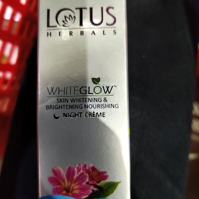 LOTUS NIGHT CREAM