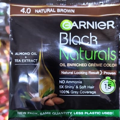 GARNIER 4.0