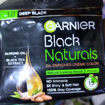 GARNIER 1.0