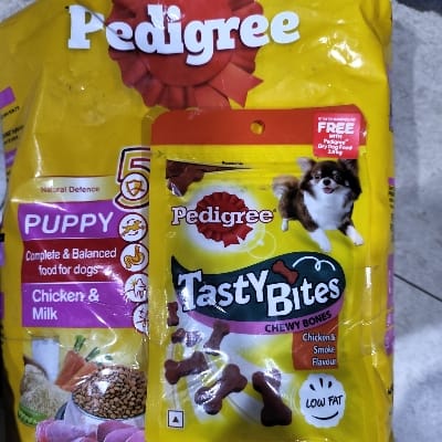 PEDIGREE PUPPY