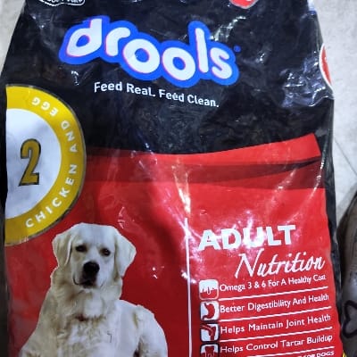 DROOLS ADULT