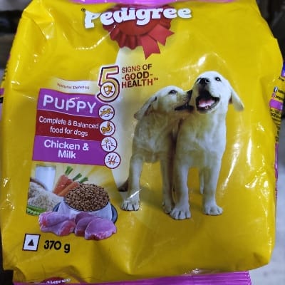 PEDIGREE PUPPY
