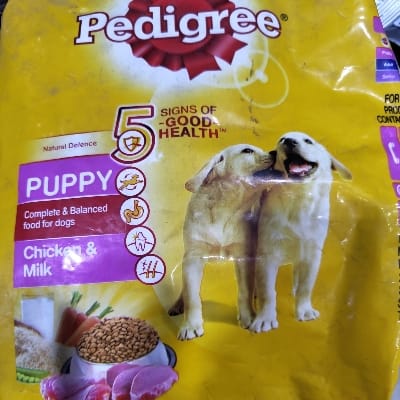 PEDIGREE PUPPY