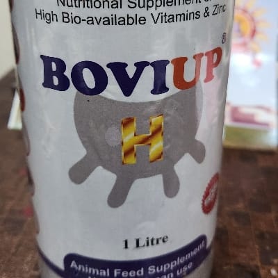 Bovi up H 1000 ml