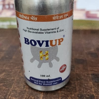 Bovi up H 100 ml