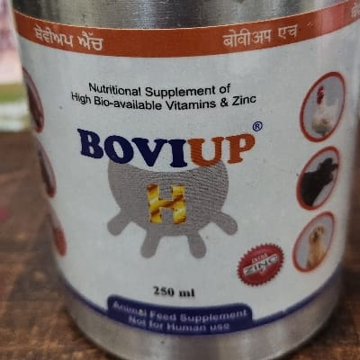 Bovi up H 250 ml