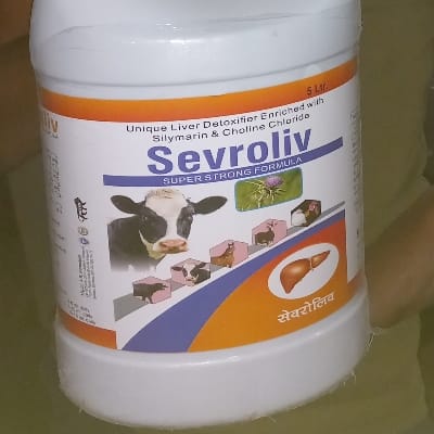 Sevroliv 5lt