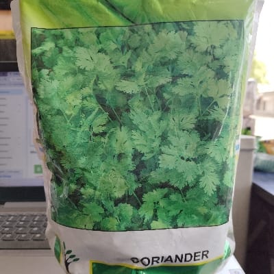 KALASH CORIANDER 500GM