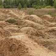 SOIL